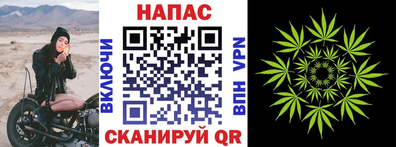 Галлюциногенные грибы Курлово