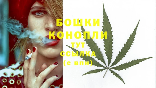 PSILOCYBIN Аркадак