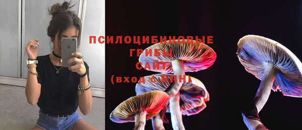 дживик Алексеевка