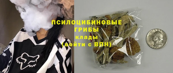 PSILOCYBIN Аркадак