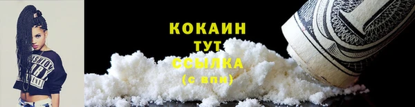 PSILOCYBIN Аркадак