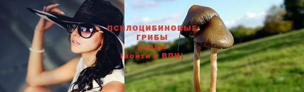 дживик Алексеевка