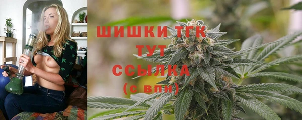 спиды Пестово