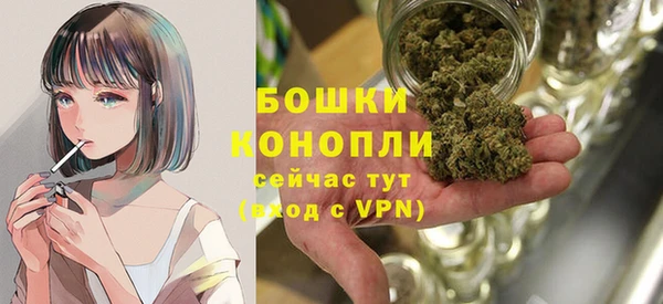 PSILOCYBIN Аркадак