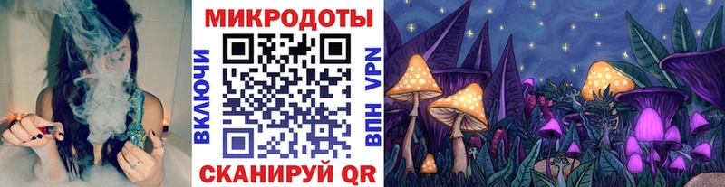 Псилоцибиновые грибы Cubensis Курлово